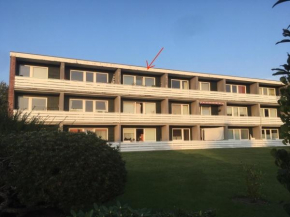 Wattenperle